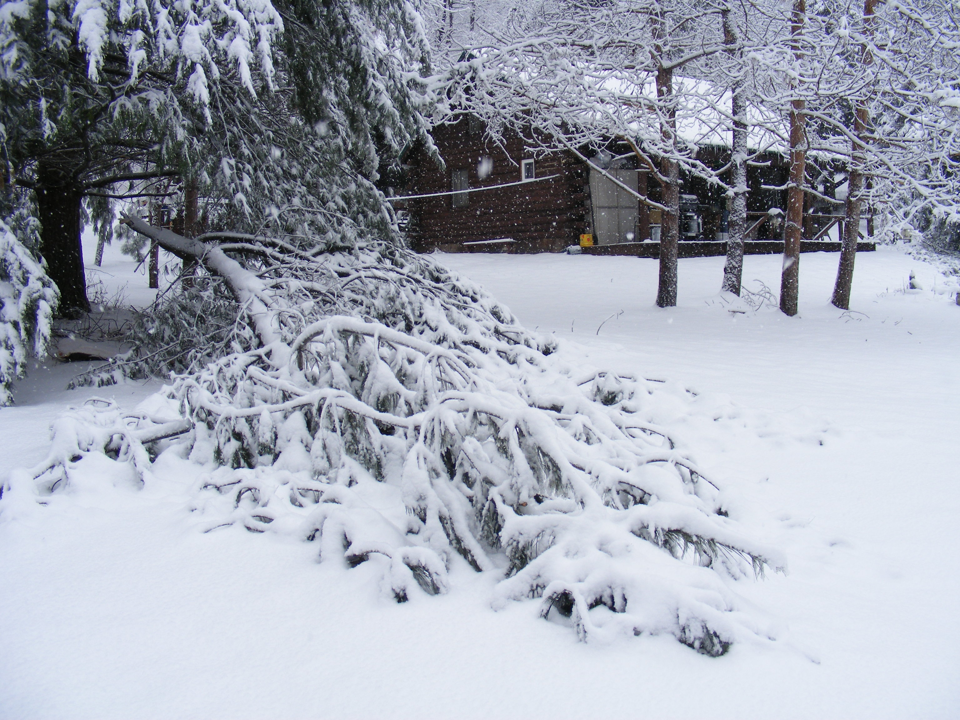 ice storm 2016