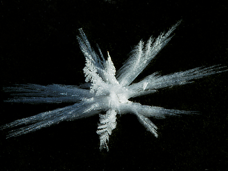 Ice_crystals_PC190755_12-19-2006-001.jpg