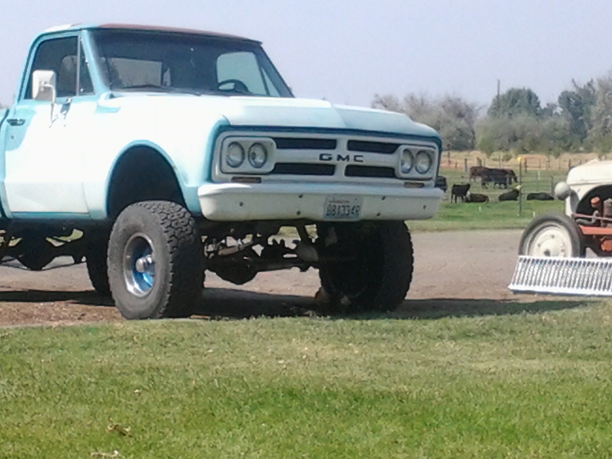 If you look close, you will see my babies practicing their roosting skills on the front axel of this truck...hehehehehe