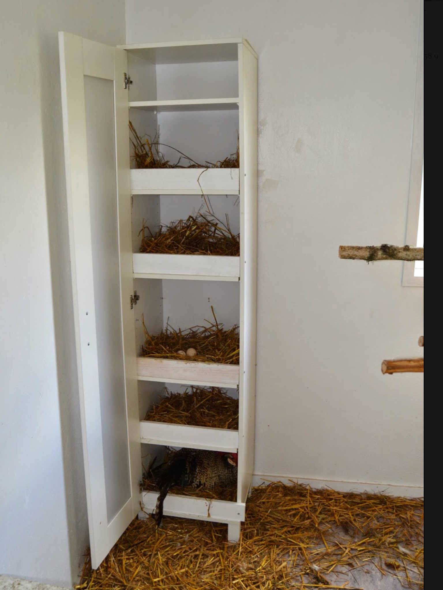 Ikea hack ) BackYard Chickens Learn How to Raise Chickens