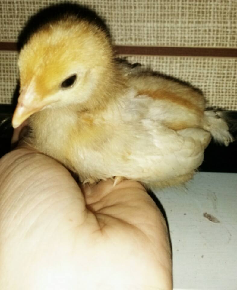 I'm 3 weeks old today!