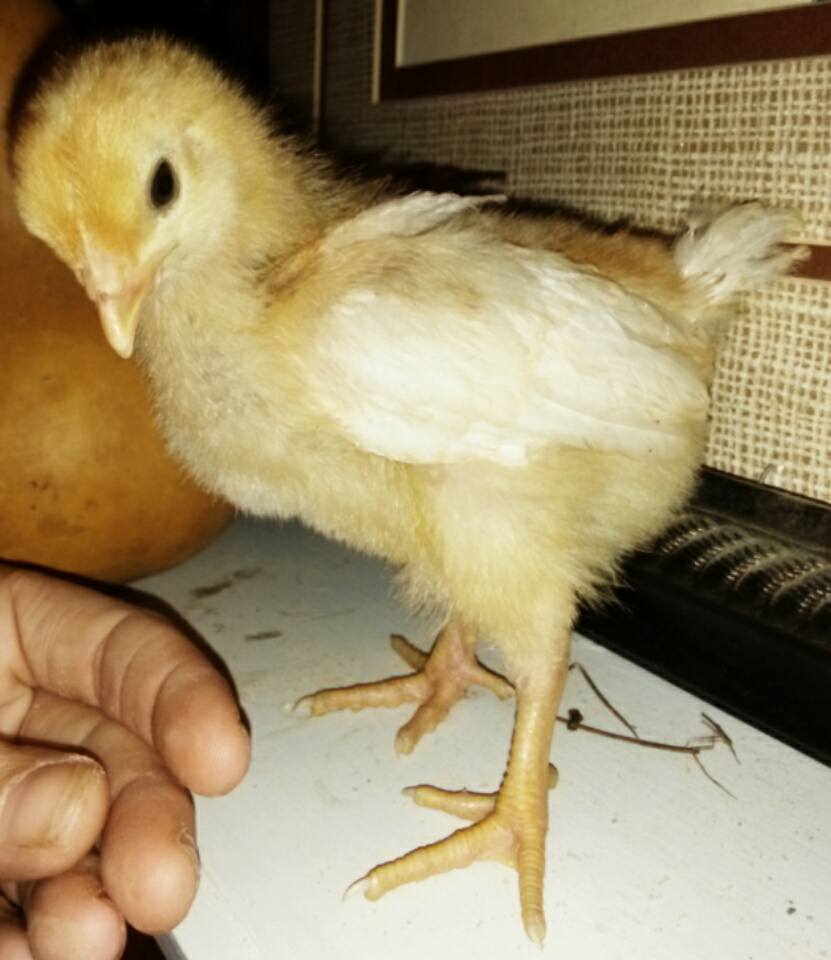 I'm 3 weeks old today!