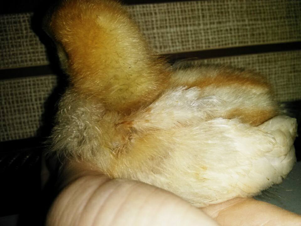 I'm 3 weeks old today!