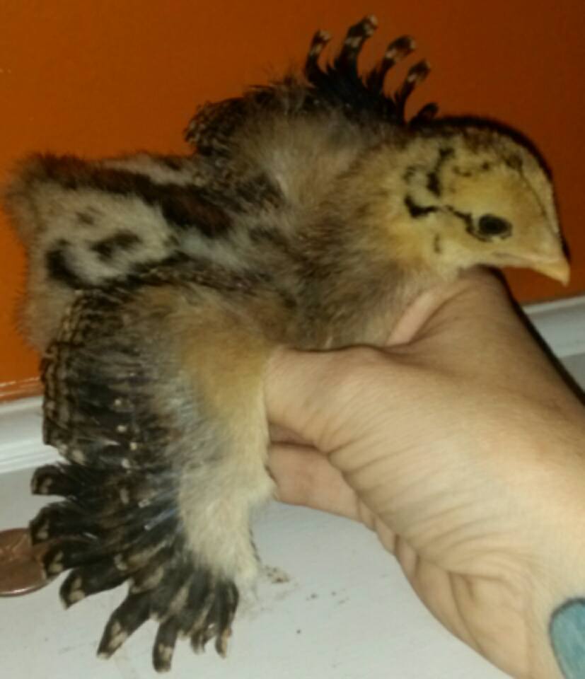 I'm 3 weeks old today!