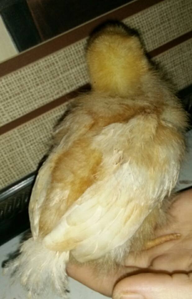 I'm 3 weeks old today!