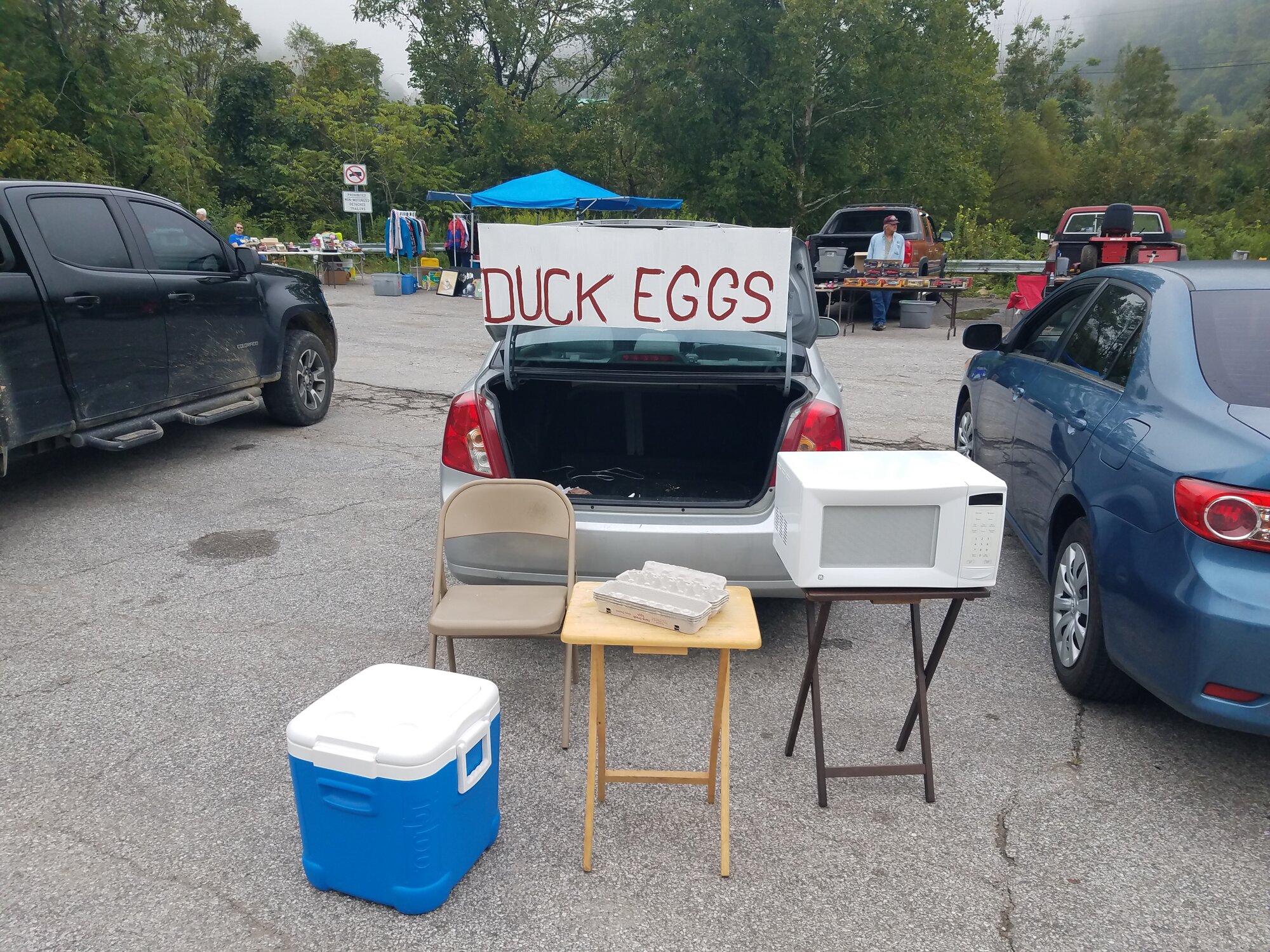 I'm in a bad spot at the wild flea market…