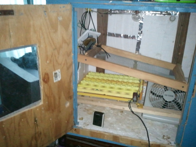 I'm not really sure where to put my thermostat or fan, but this is what I have so far. Heating element and light-bulb are at the top.