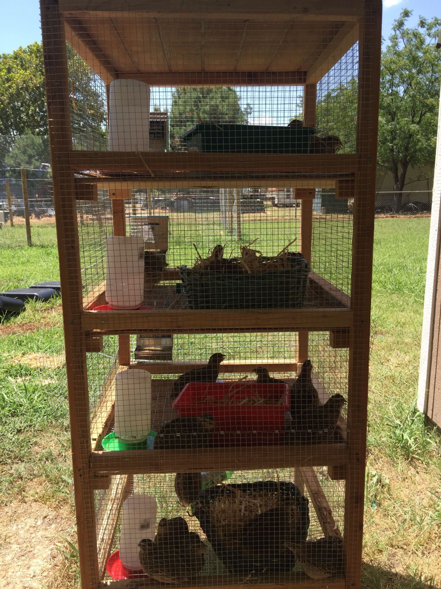 I'm using chick waterers until I can get something else installed from the outside of the pens. I fill them with ice so the water is cold. It takes about an hour to melt and another couple of hours to be hot water. The heat right now is ridiculous!