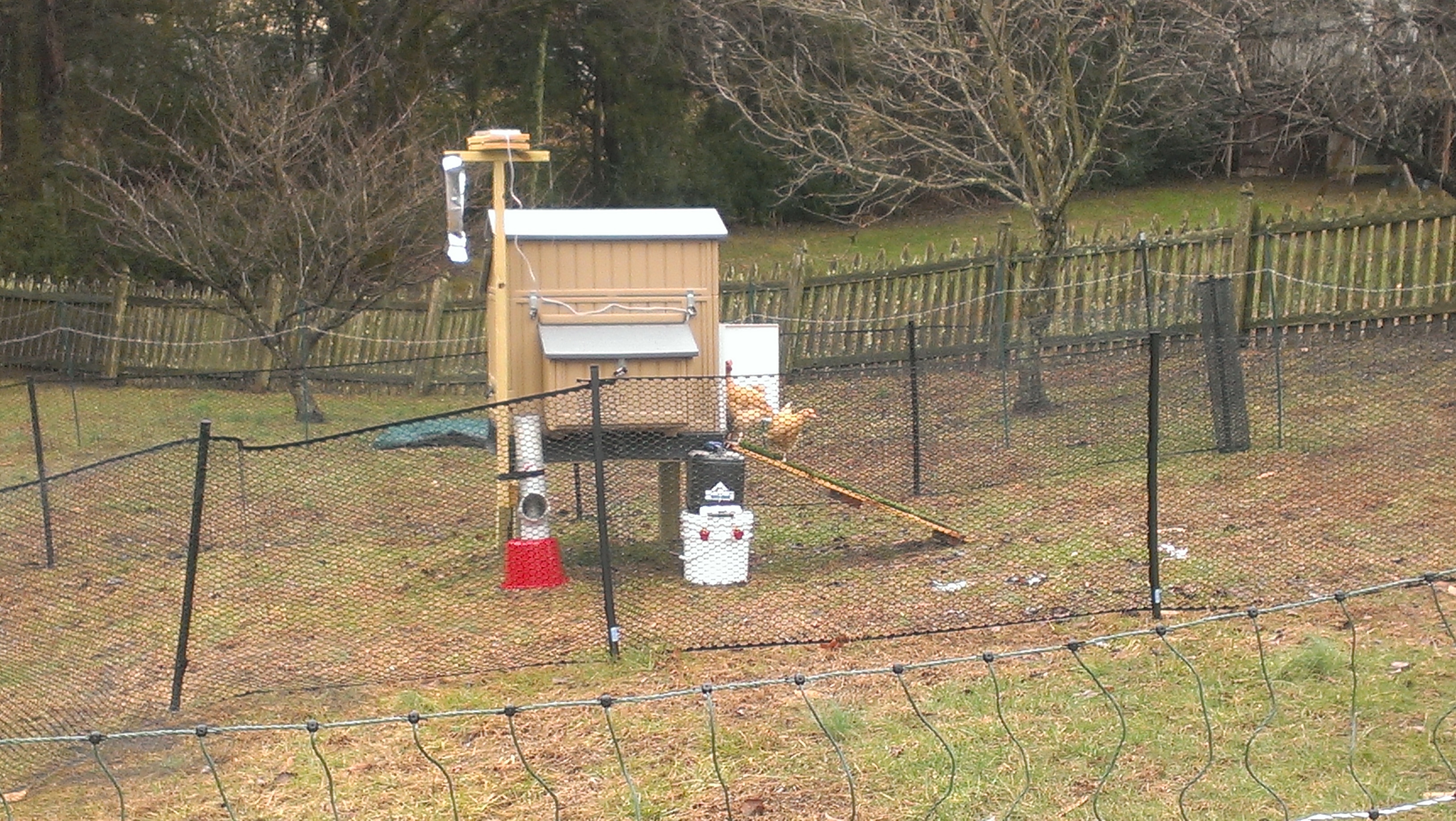 I'm using the Dine-a-Chook feeder and Wet-a-Chook waterer and love them both!