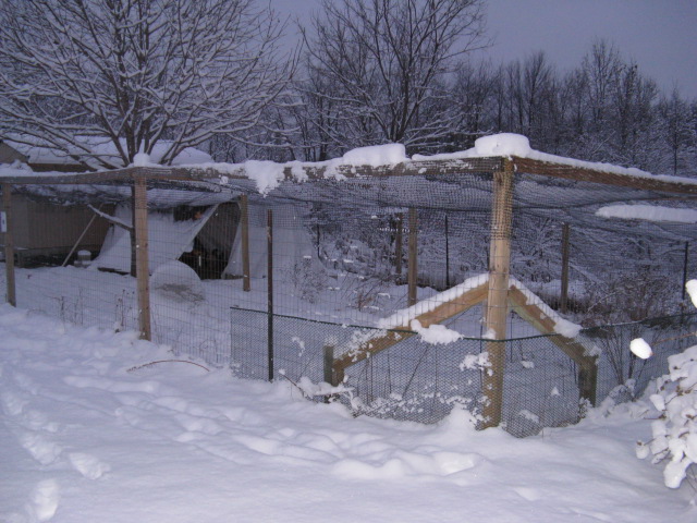 IMG_1378.JPG corner of big run. need to add more support , snow took down one area of netting