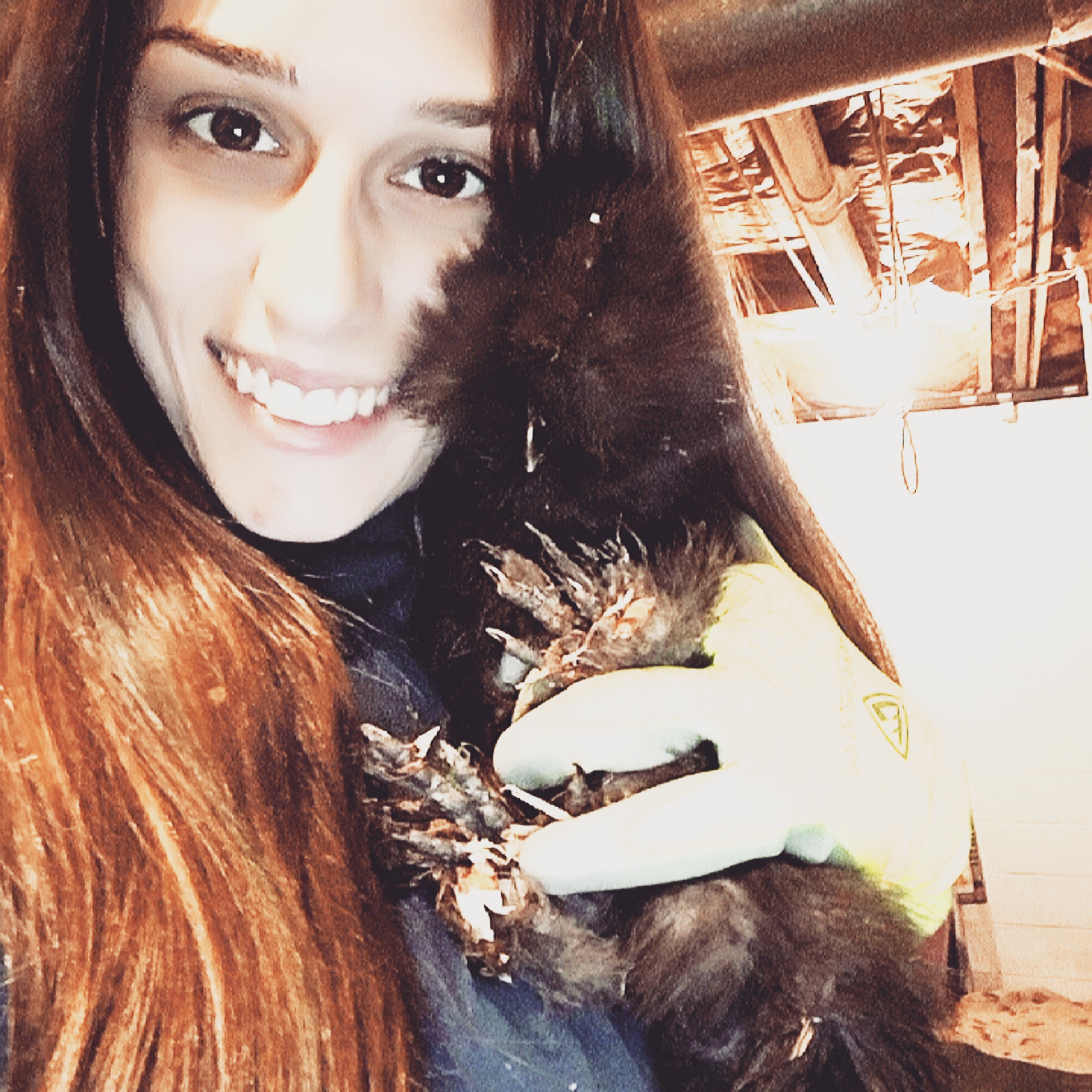 IMG_20180127_105853_662