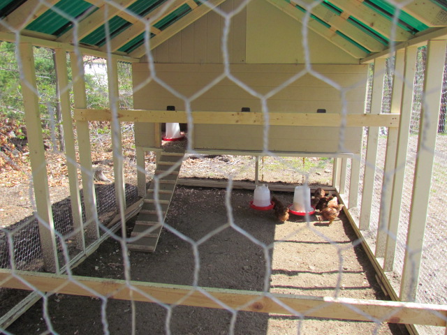 IMG_2050.JPG

here's a long view of the inside of the coop . they are having a ball in there . Im very happy there happy lol