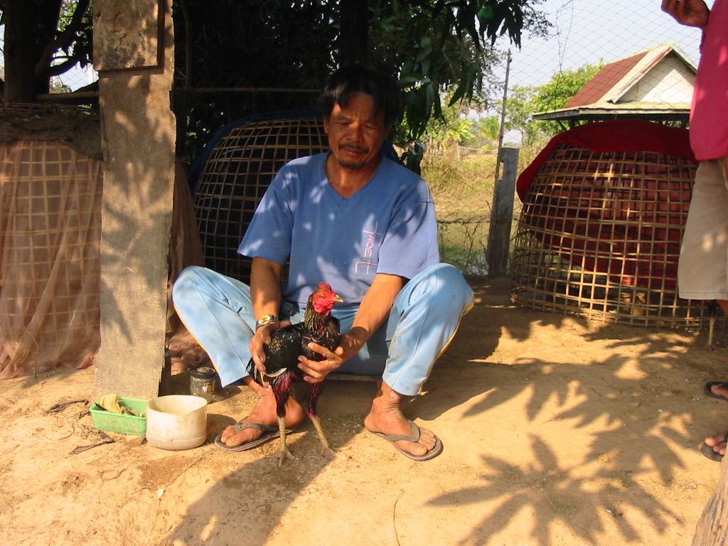 in ban chiang showing me his favorite chicken