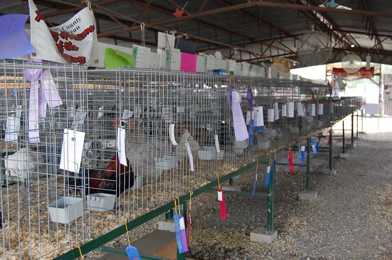In side main poultry barn