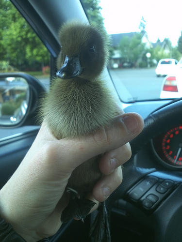In the car before heading home :)
