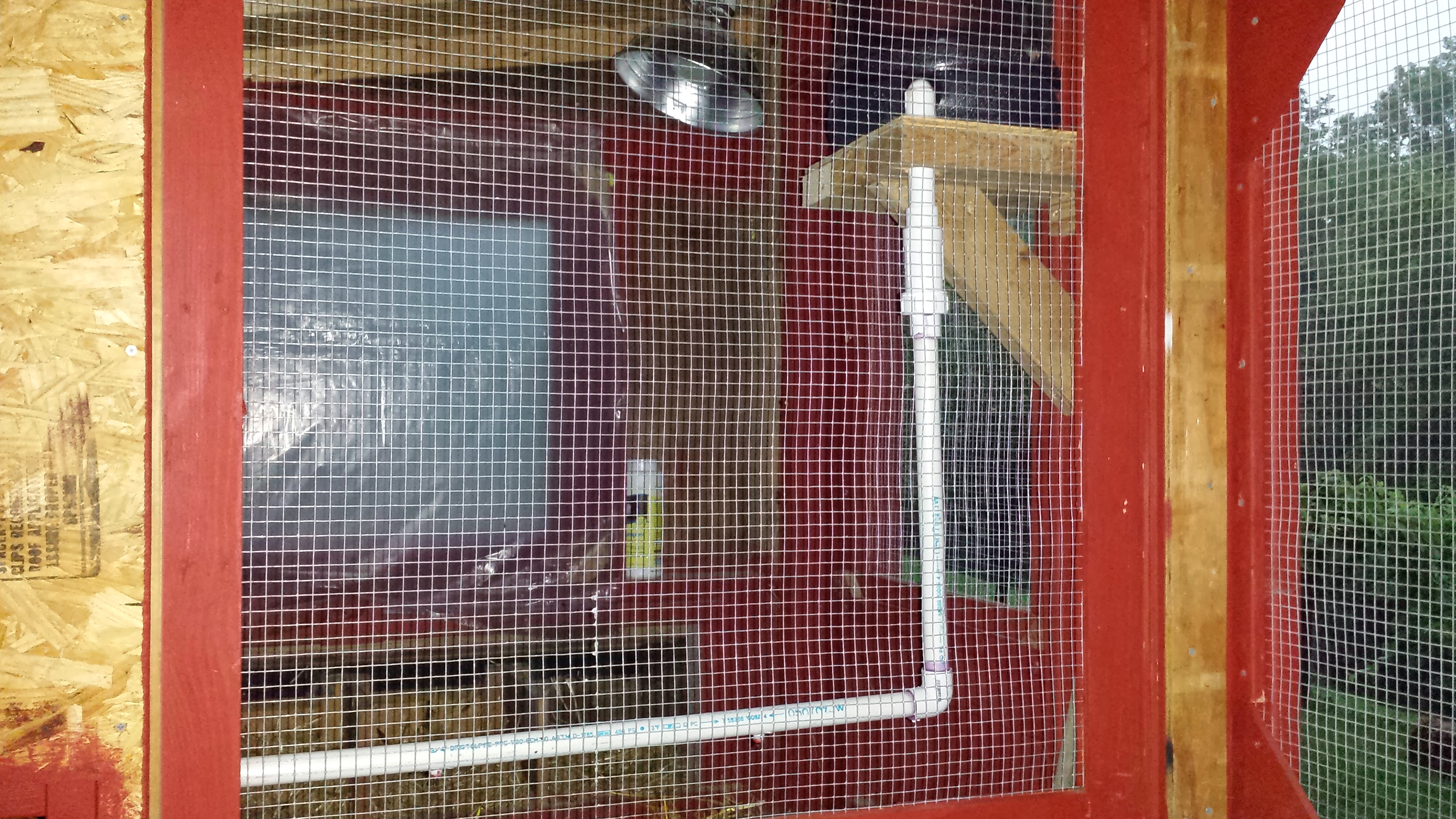 In the run looking in the window of the coop at the water set-up.