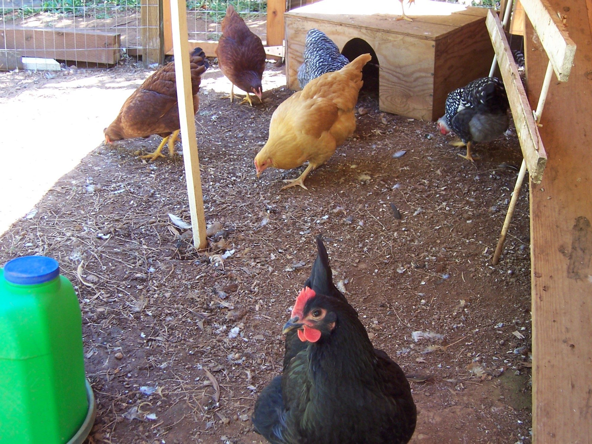 In the shade, eating.