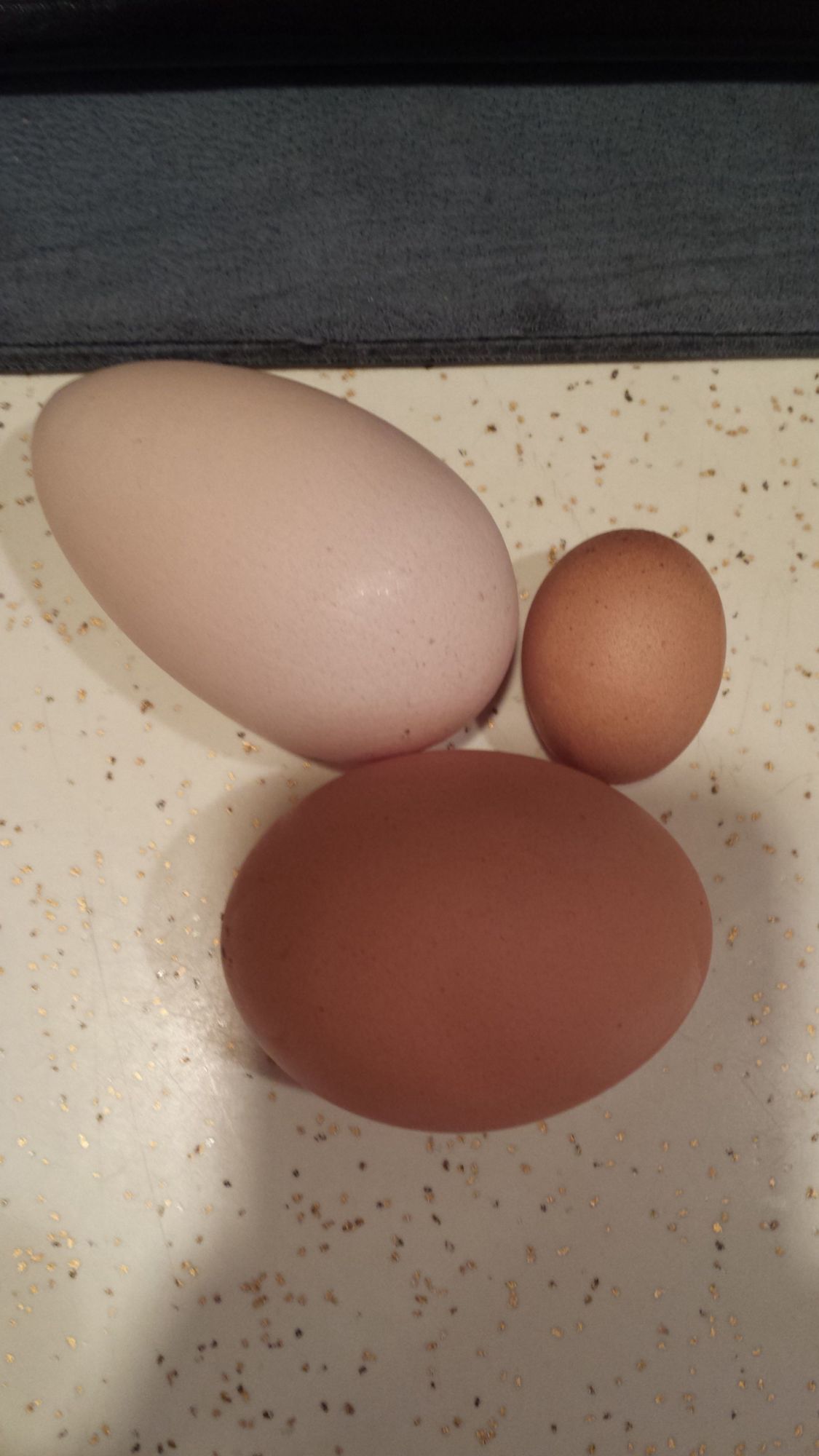 In two days I received 3 eggs.
