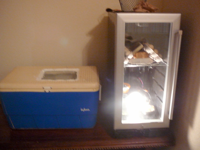 Incubator / Hatcher
