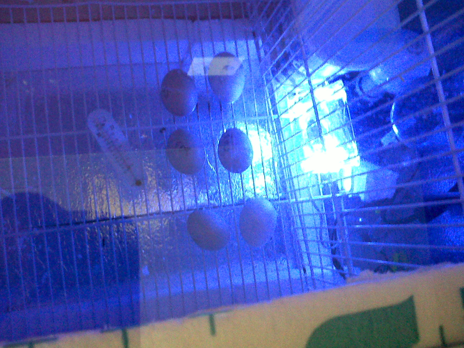 incubator with LED night light