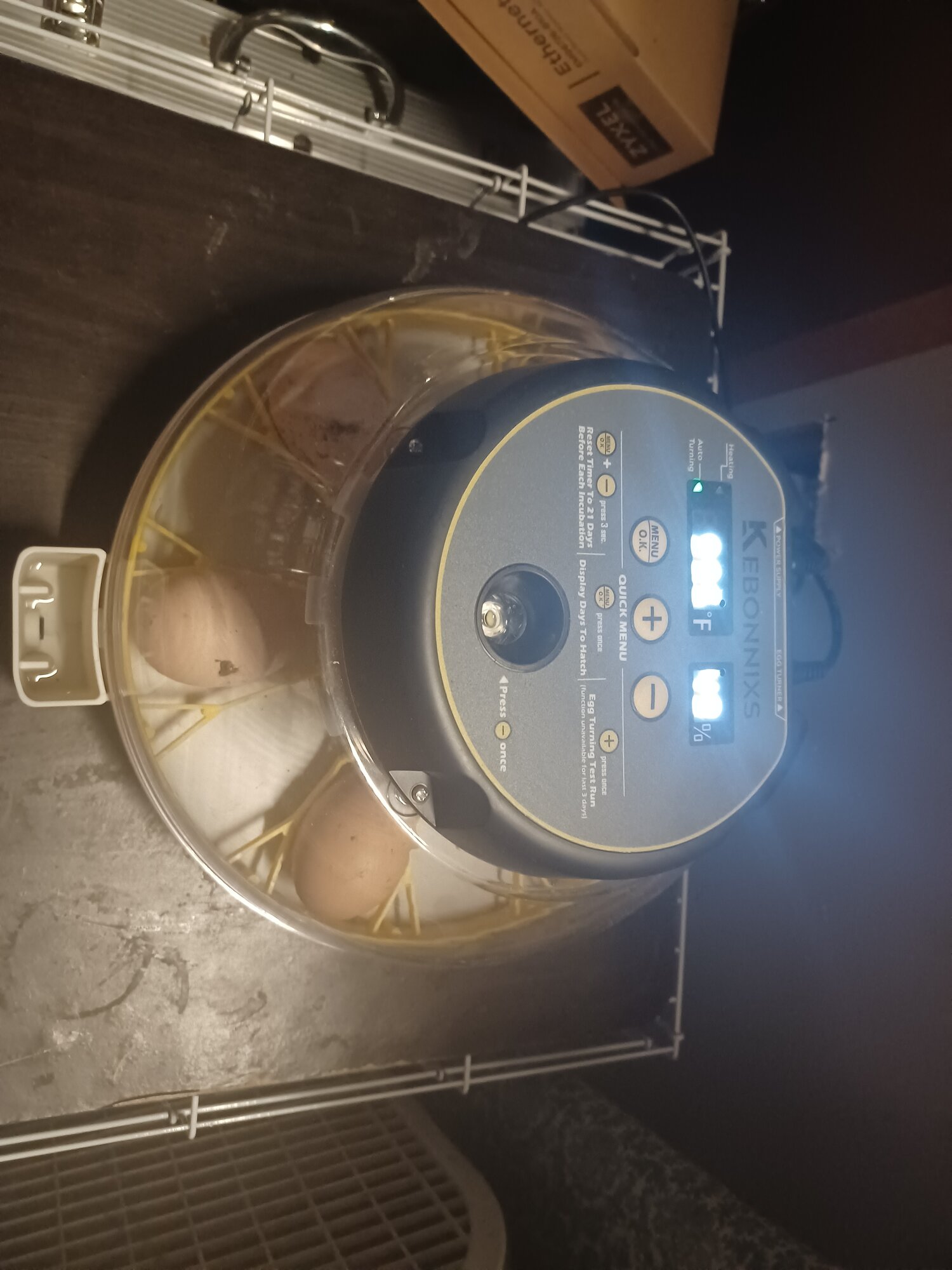Incubator!