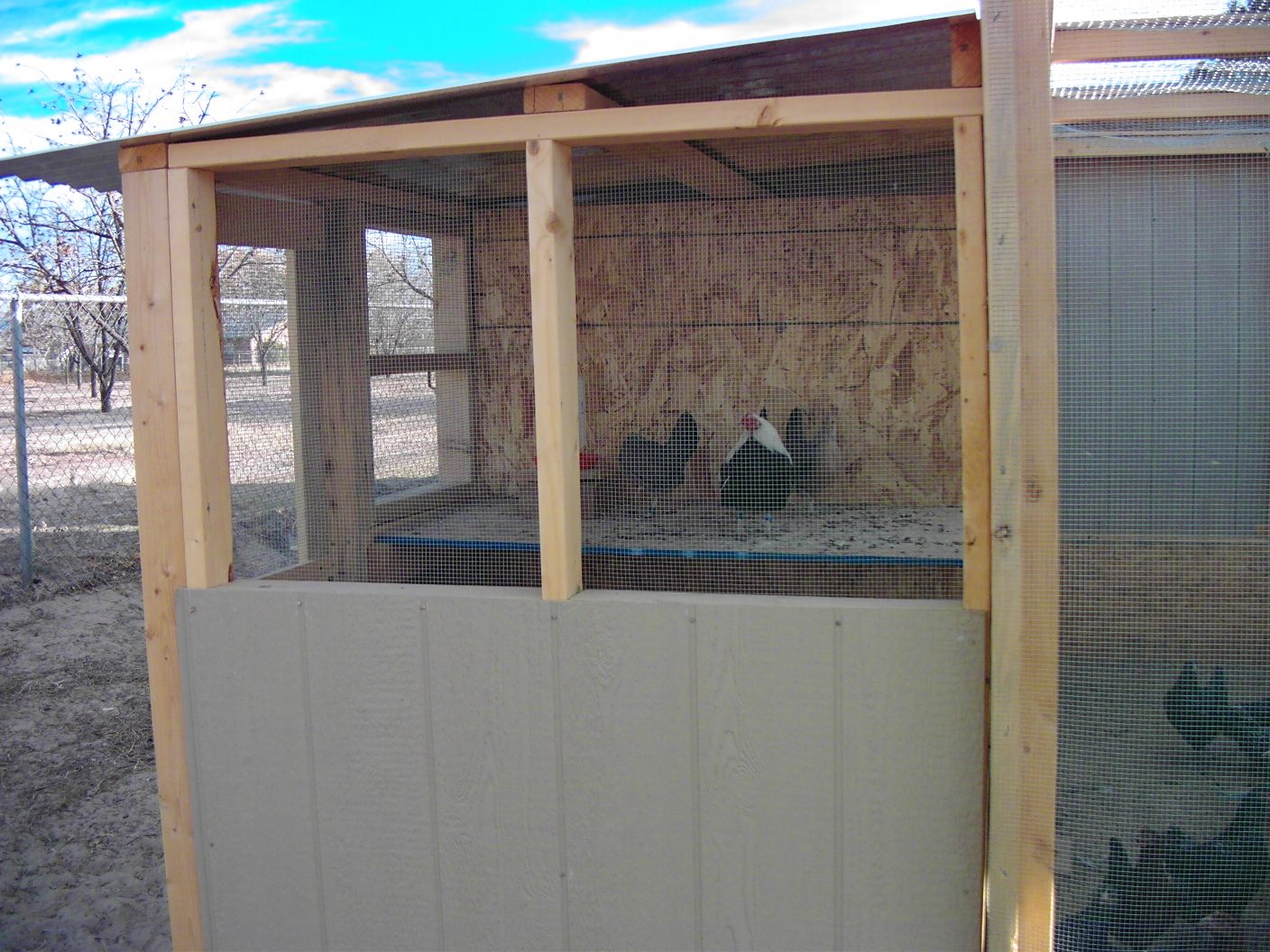 Individual breeding pen with Silver DW OEG Bantams in residence. The water is placed on a board at least four feet above the pen floor. They are fed on the pen floor. This forces the birds to get exercise.