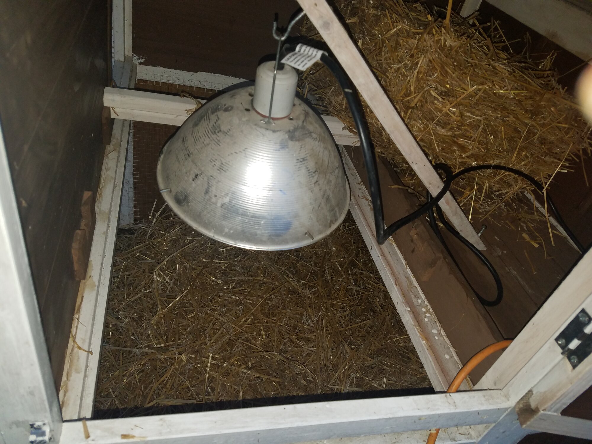 Infrared-lamp is installed