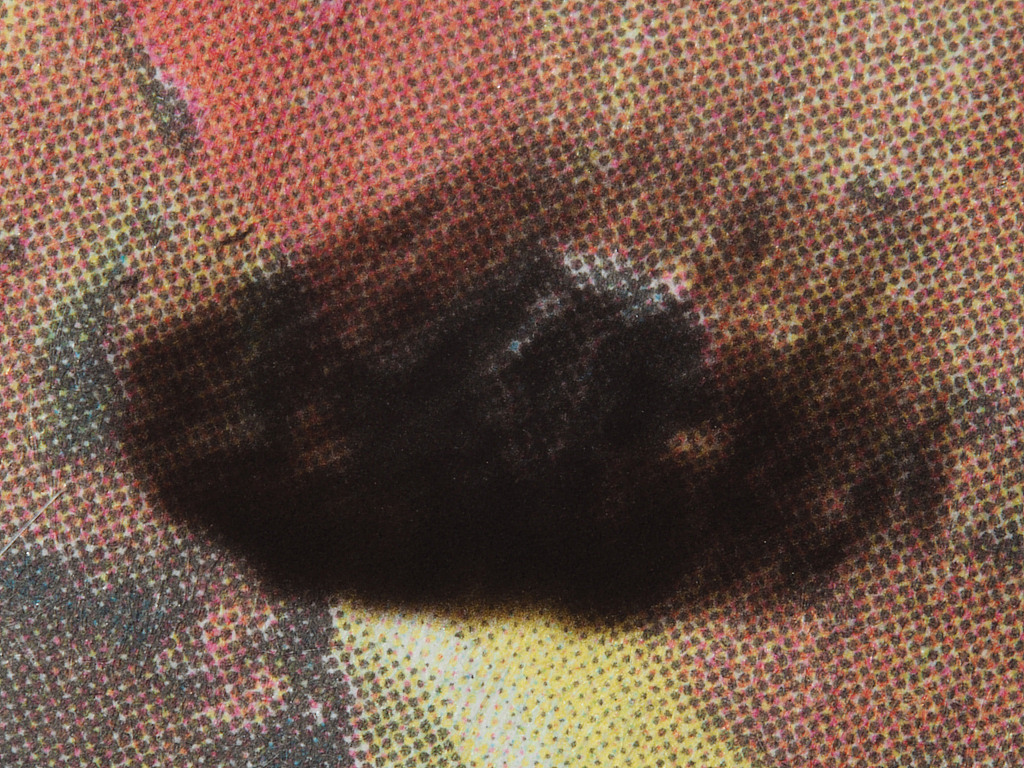 Inky Cap mushroom spore print