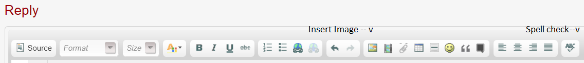 "Insert Image" button and "Spell Check" button