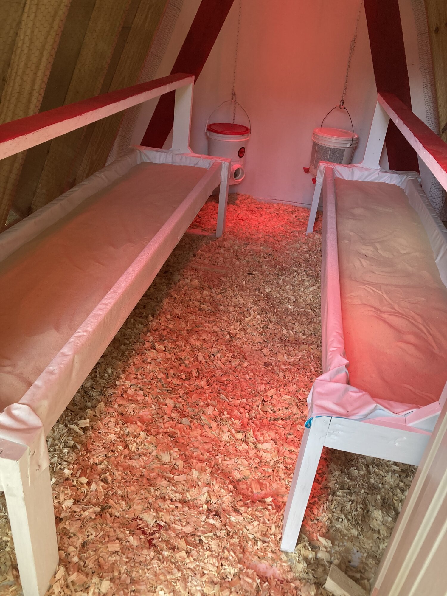 Inside A-Frame coop