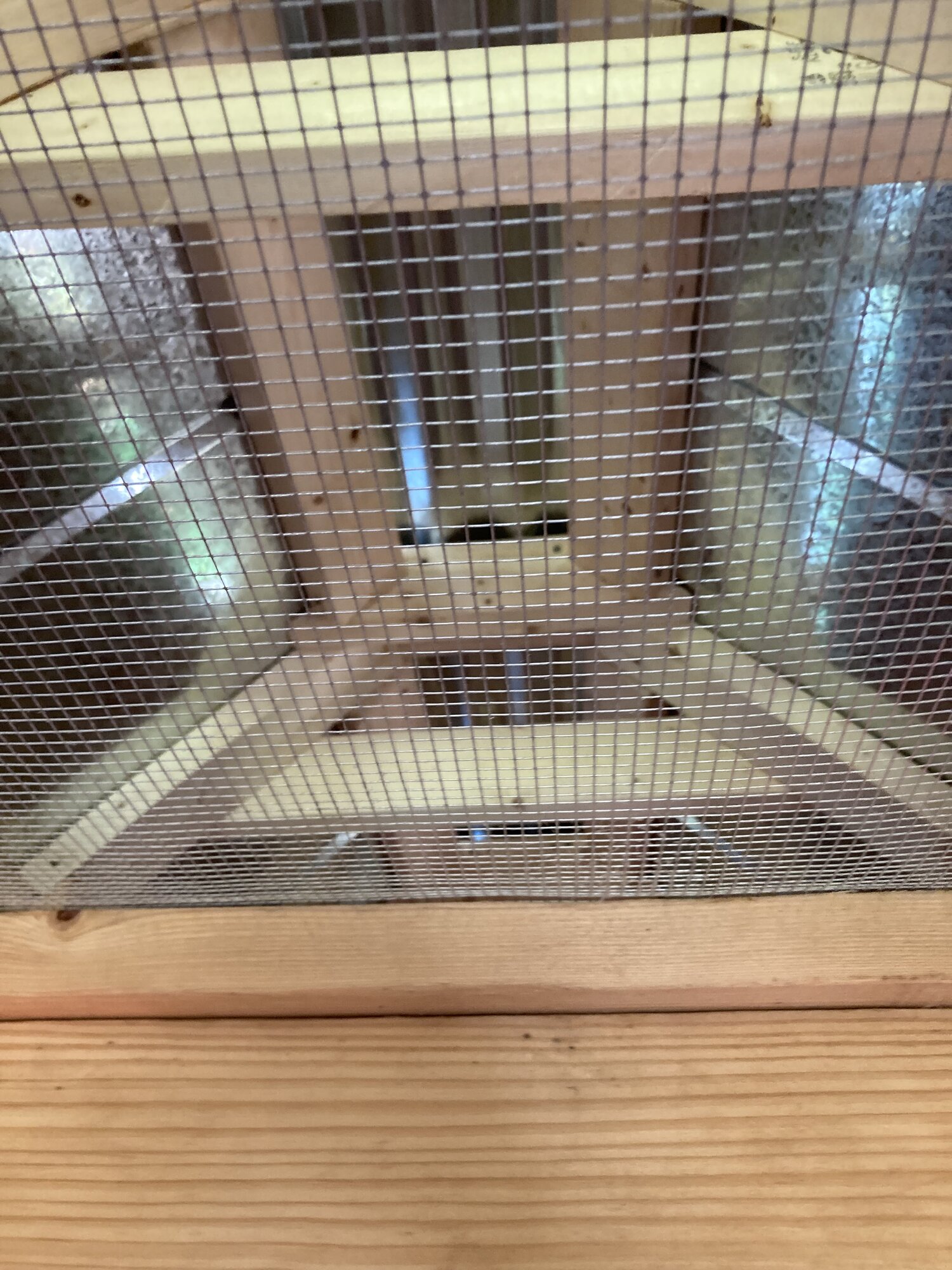 Inside A Frame roof ventilation