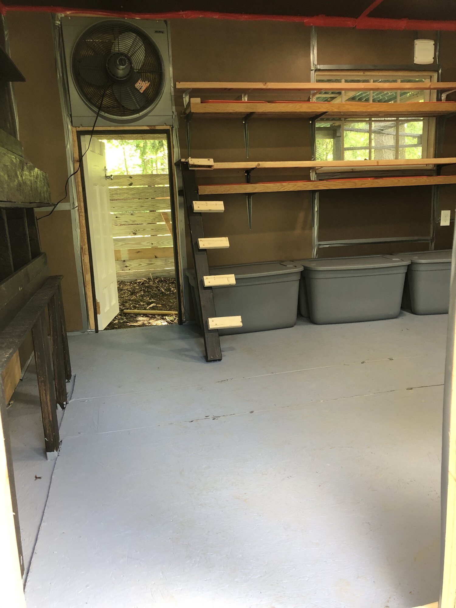 Inside Clean View of Coop