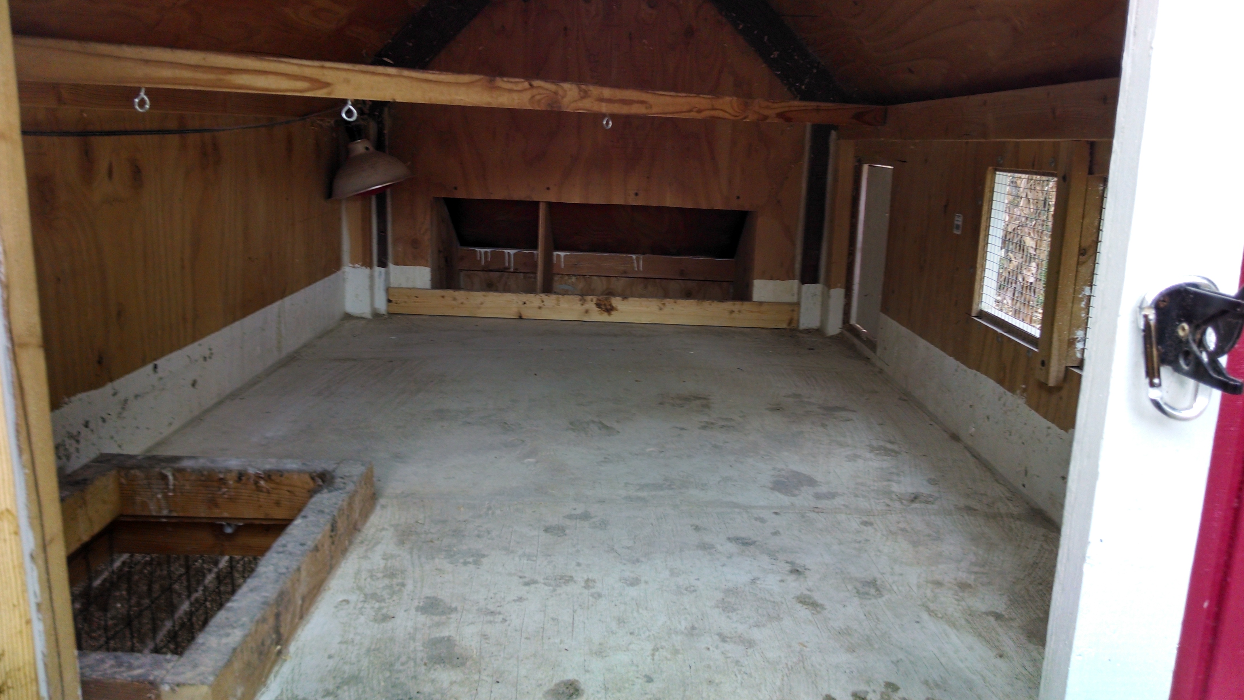 Inside Coop.
Painted bottom protection of wood and ease of cleaning.
Drop down door on left, can be closed for segregation of brooding hens and chicks.