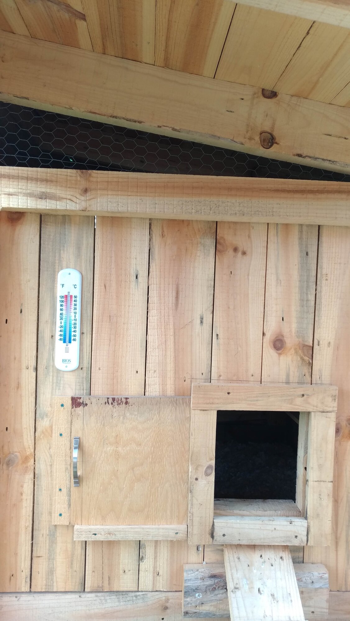 Inside coop running, facing right hand side of coop house