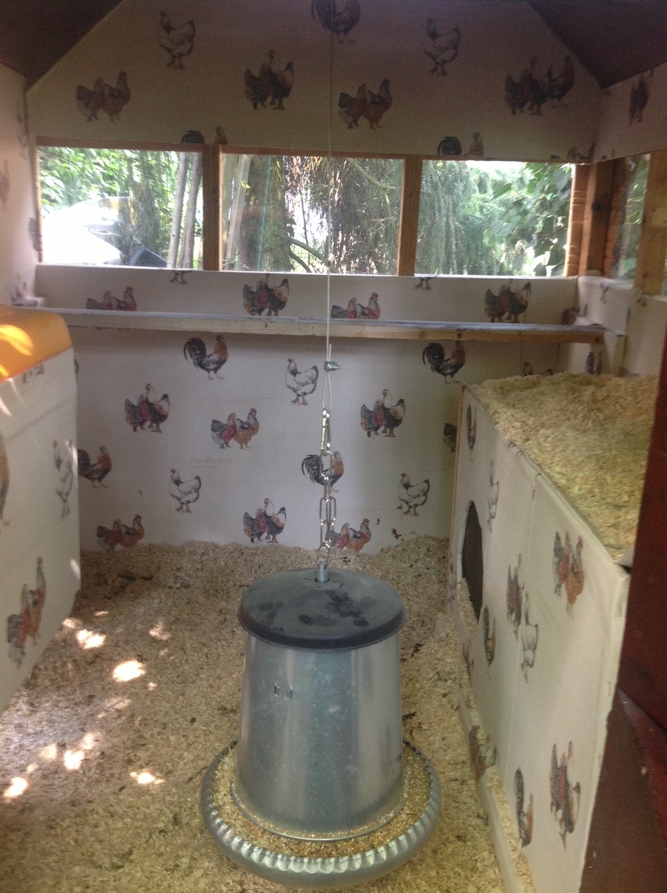 Inside coop
