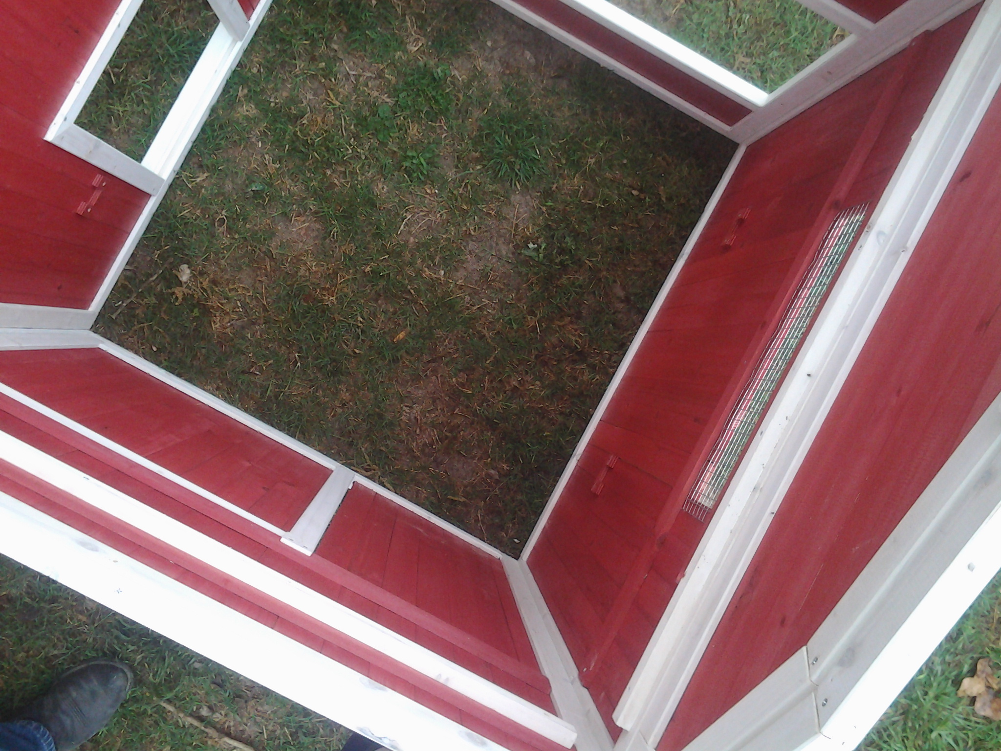 Inside from loft before hardware cloth added