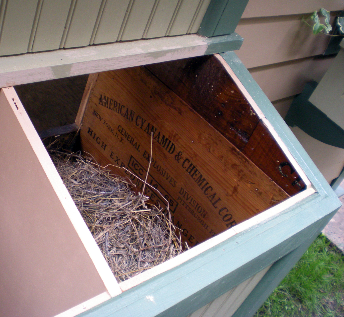 Inside nesting box - to date.
