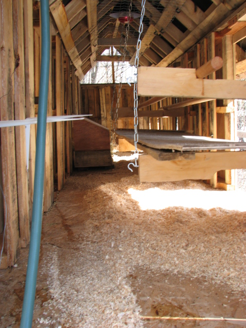 Inside, nesting boxes at the back, roosts with poop tray in front. Both flip up for when I need to climb in.