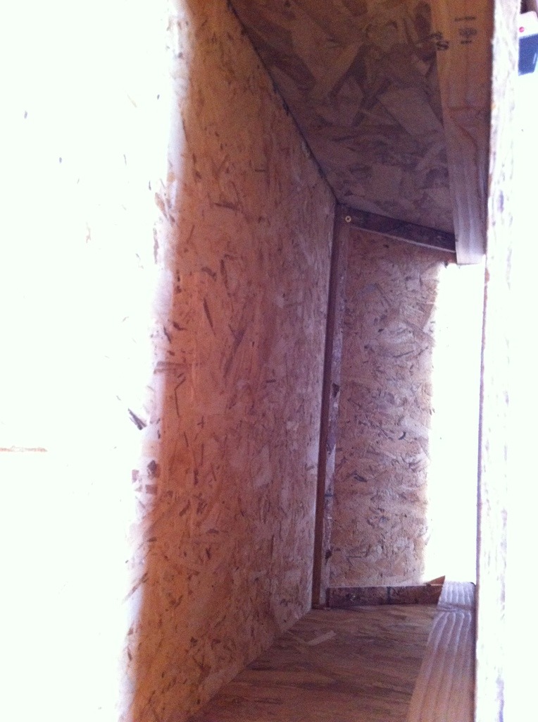 inside of chicken feeder