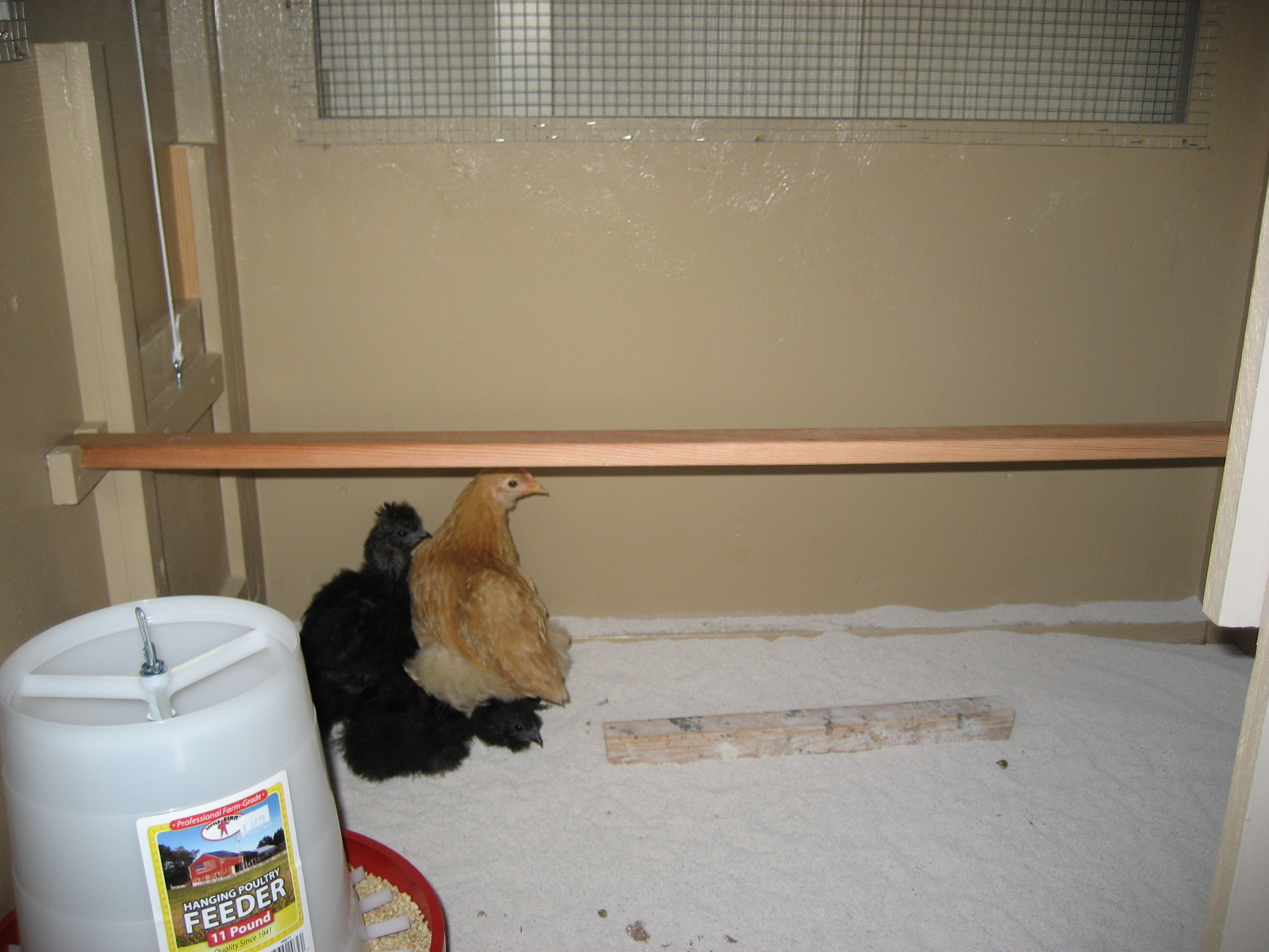 Inside of Coop after it was placed in position.