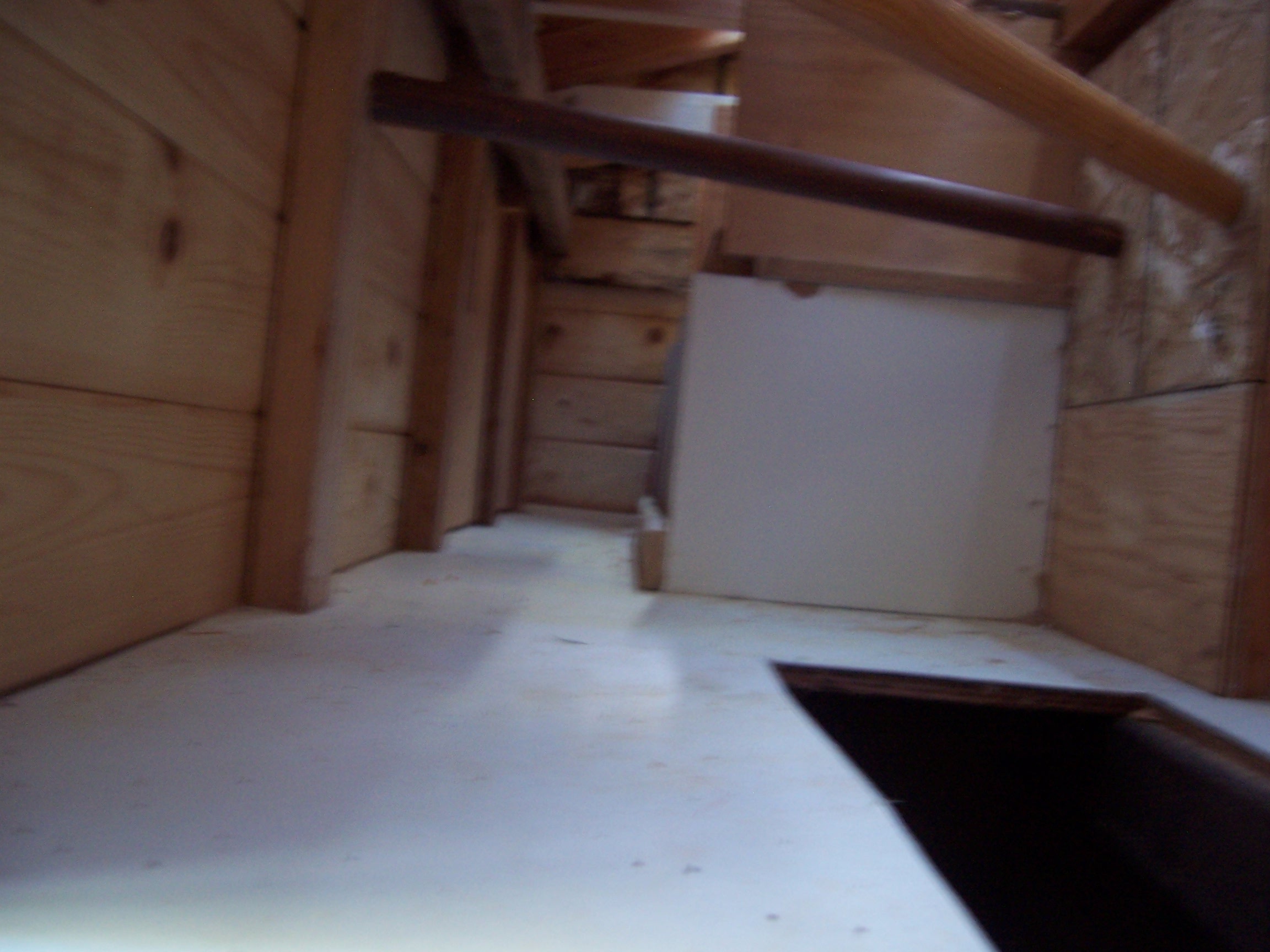 Inside of coop during construction.