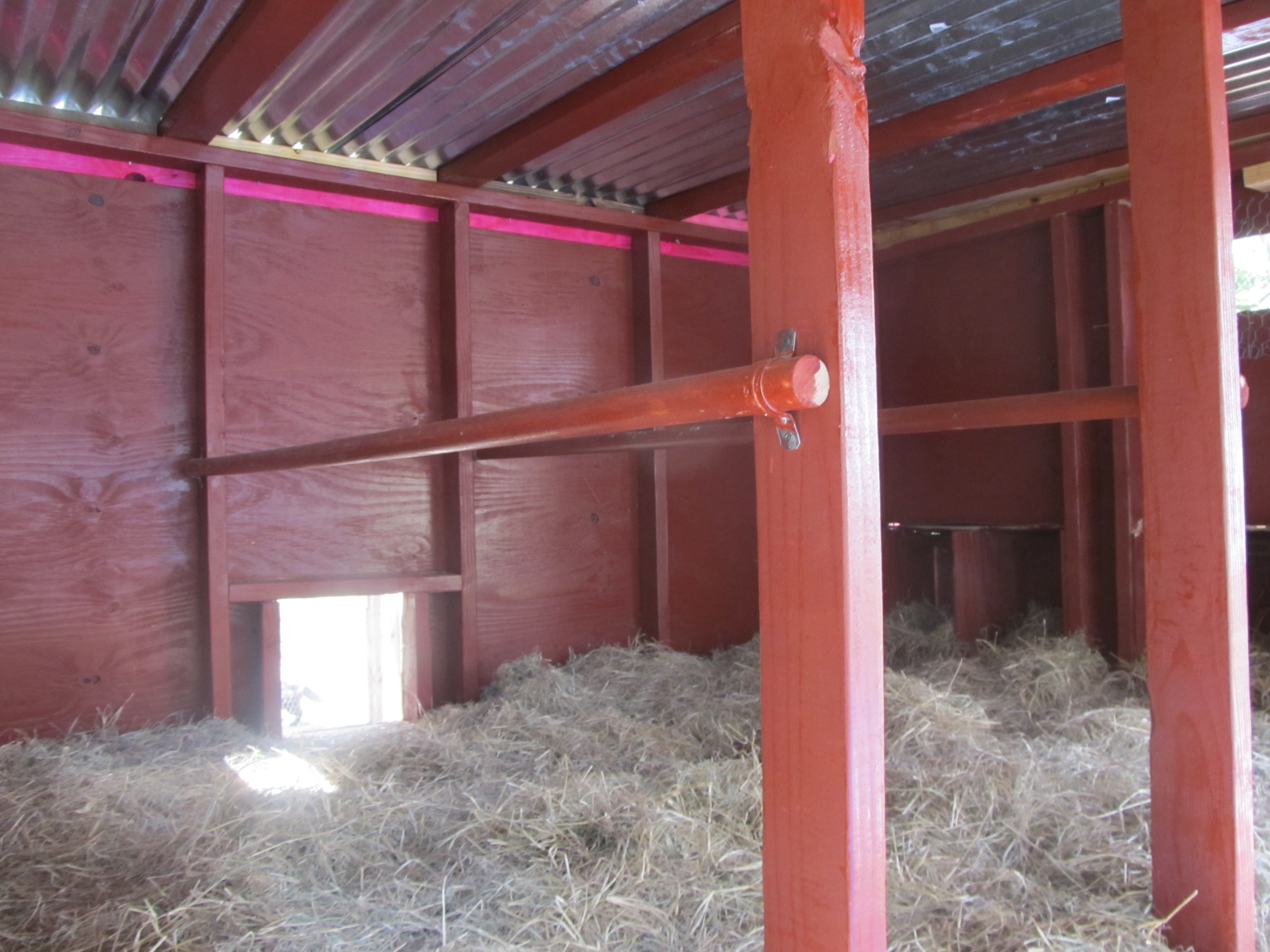 Inside of coop for laying hens