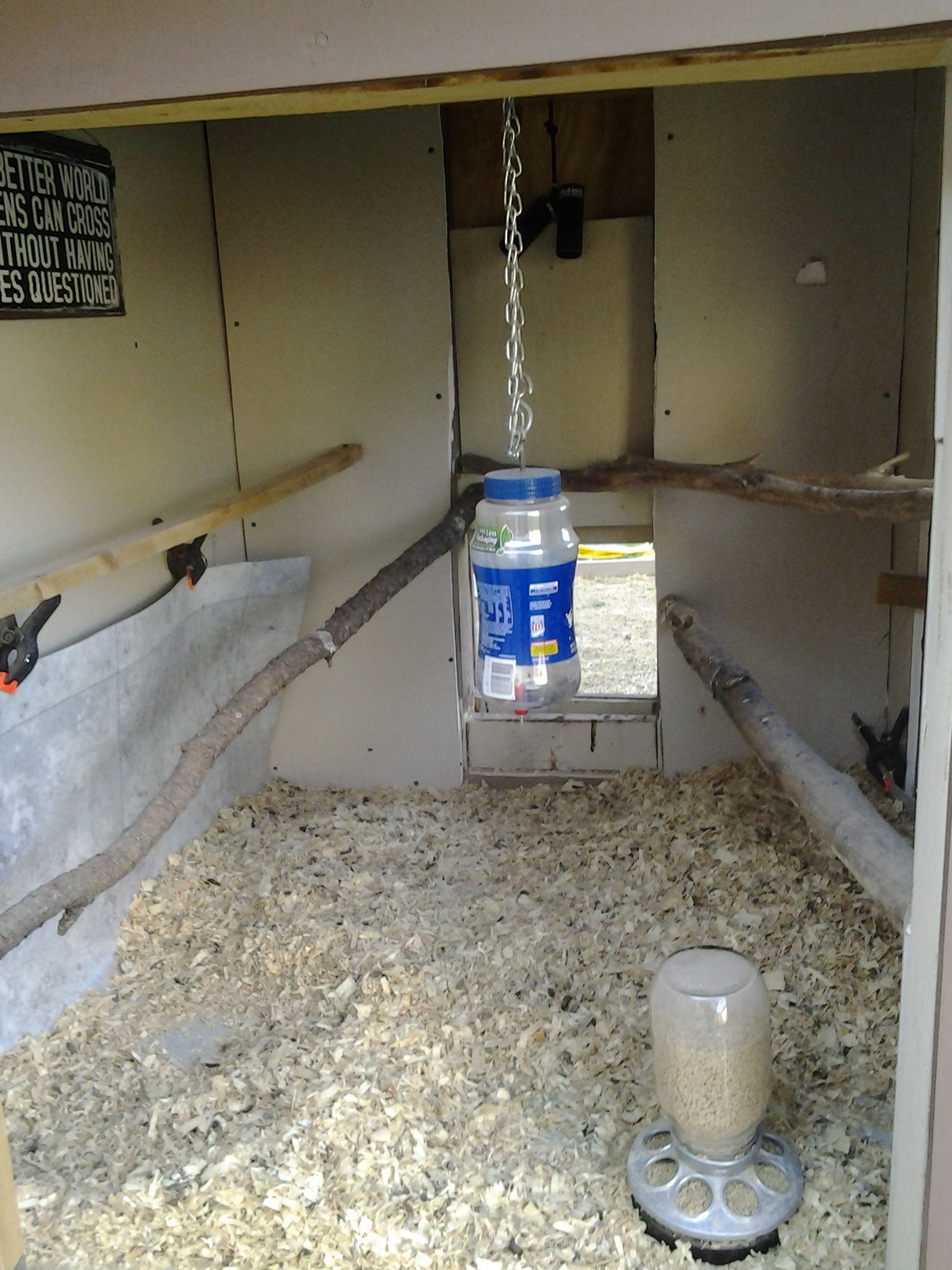 Inside of coop