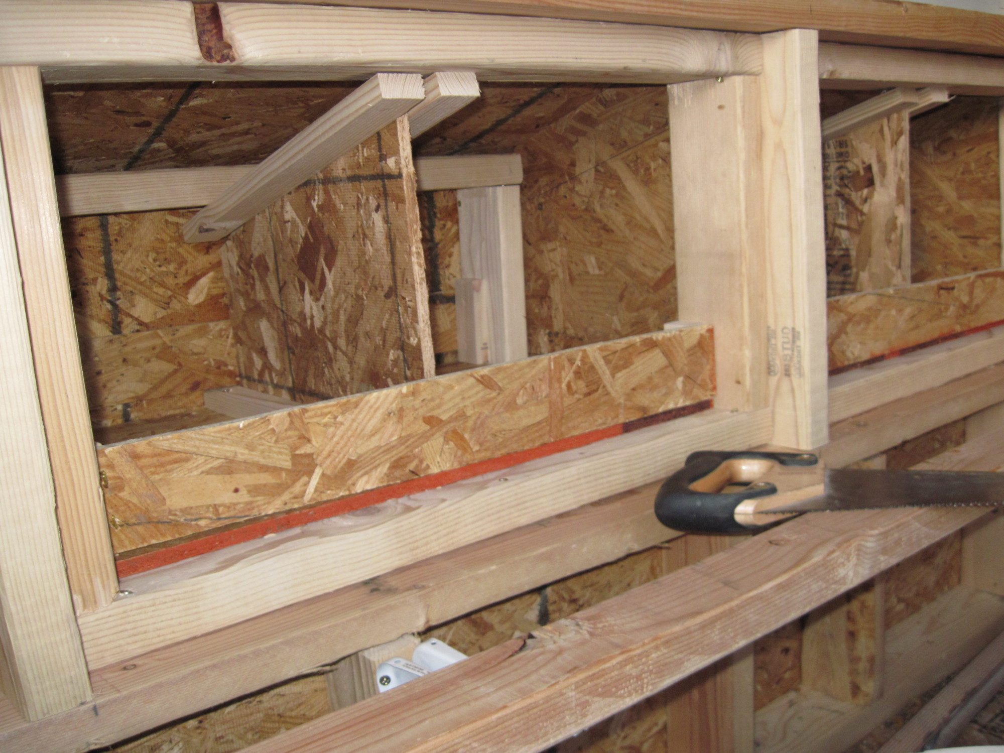 inside of egg boxes