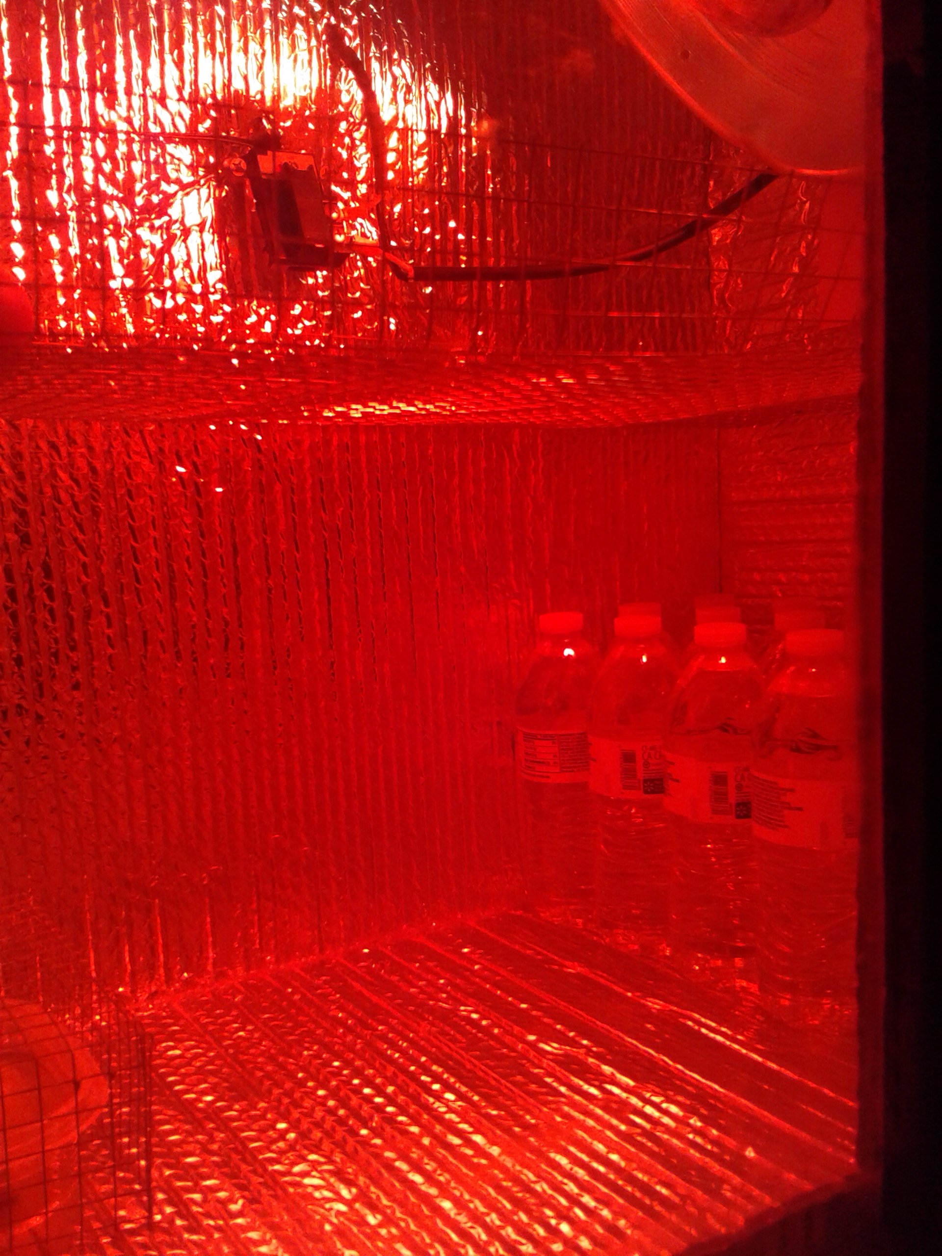inside of incubator i built