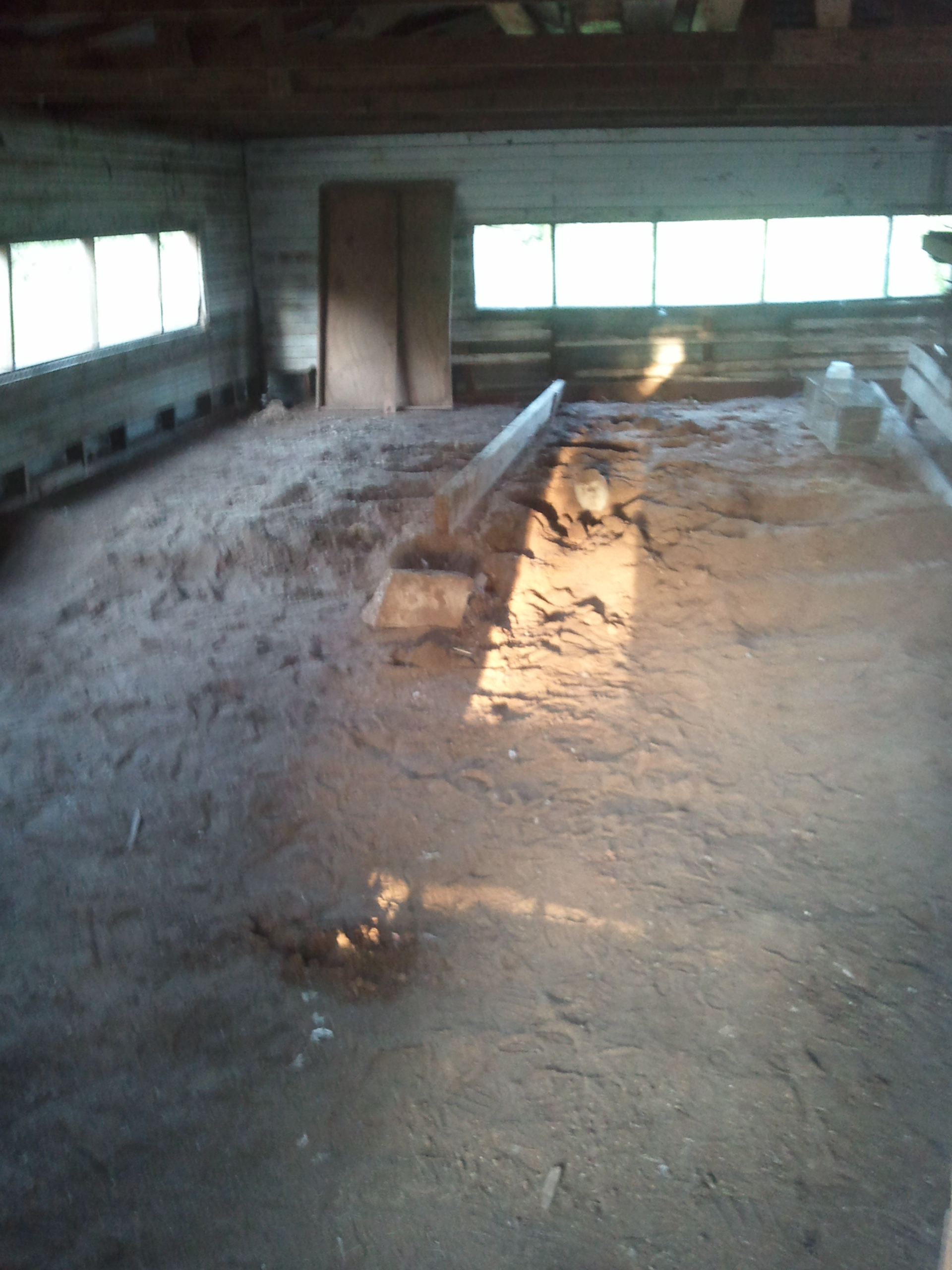 Inside of partially cleaned out layer barn. Looking East.