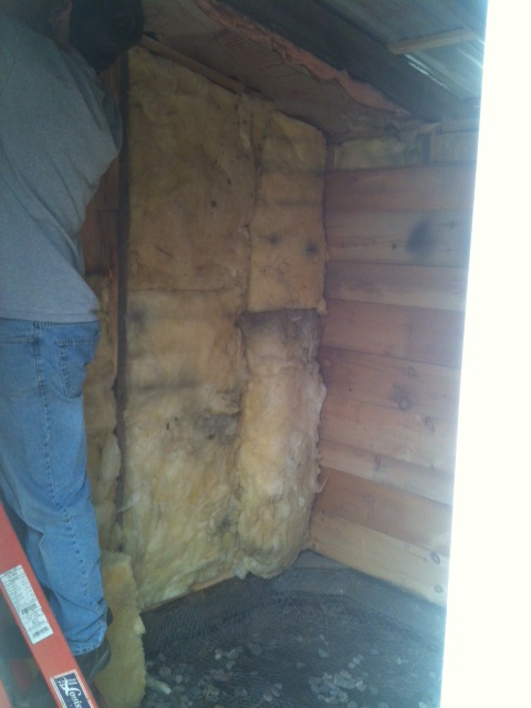 Inside of the coop being sided.  We insulated it put 2 lights in, an exhaust fan and an outlet in case we ever need it.