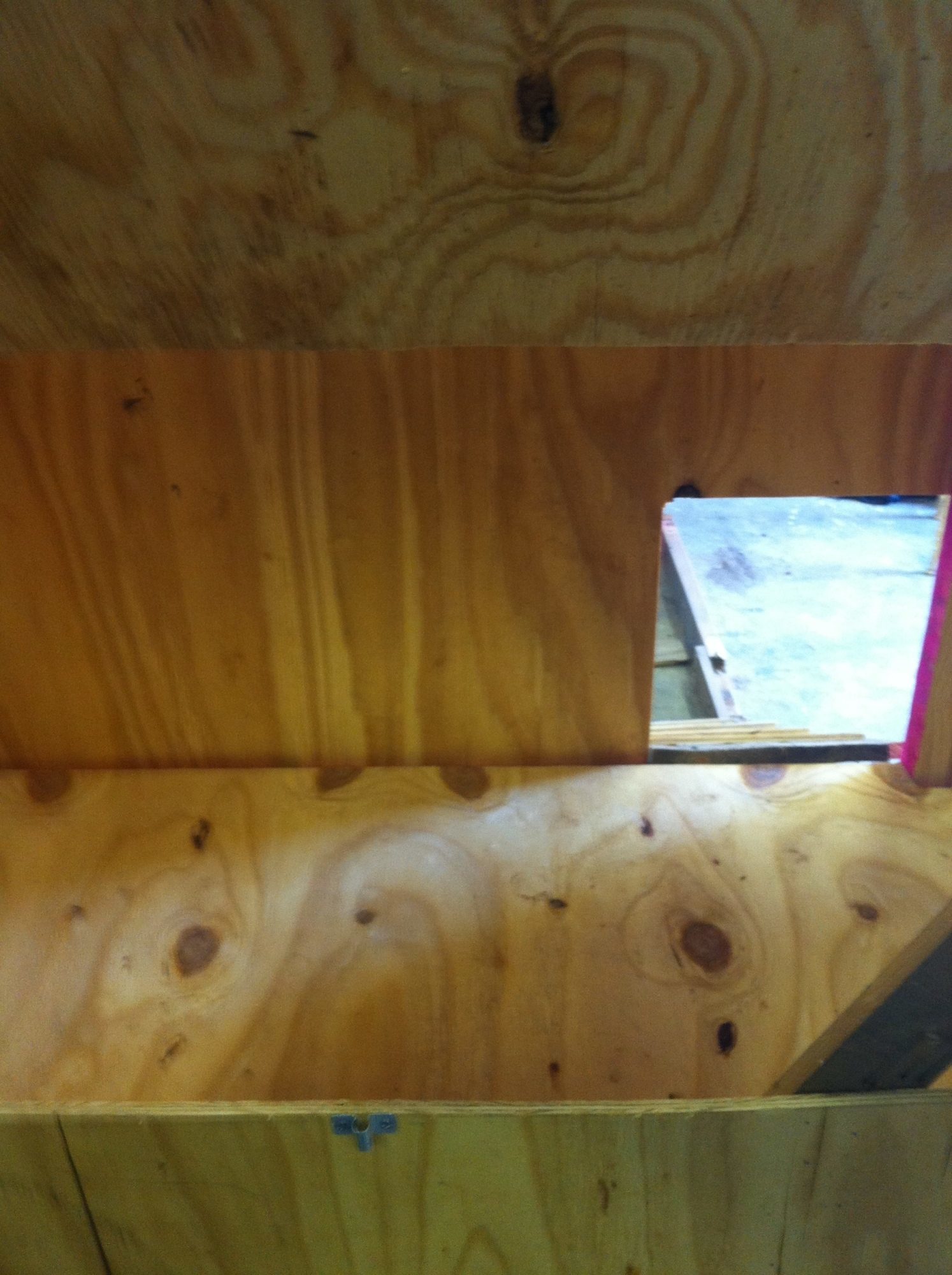 inside of the coop