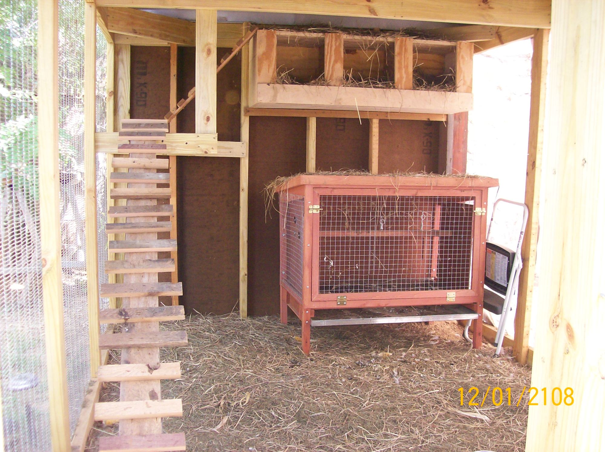 inside of the new coop