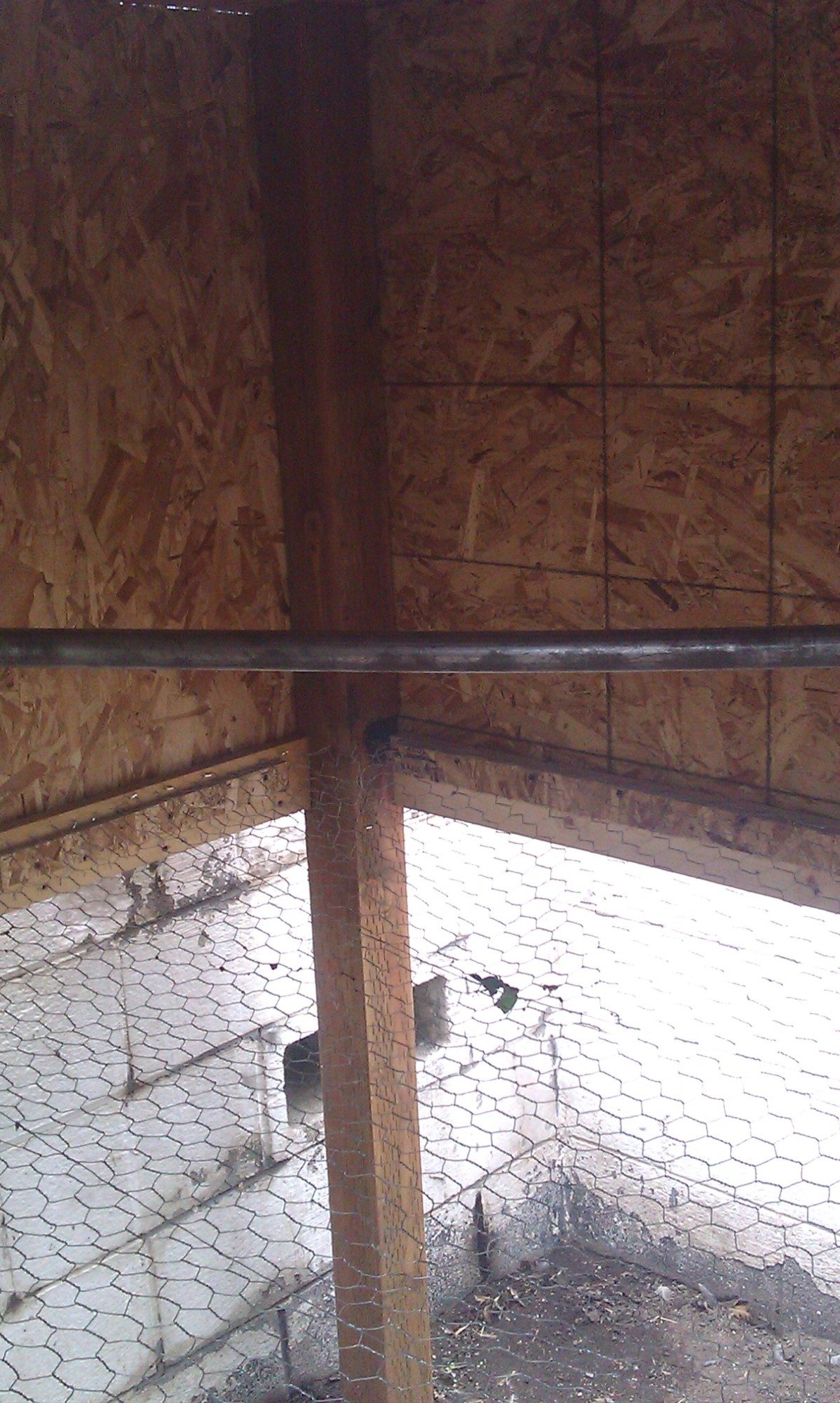 inside perch, screened in bottom.